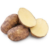 Жалаңаш дзюдошылардың күресі Мерседестің жалаңаш порно жұлдызы