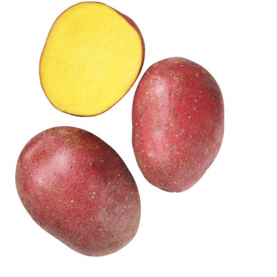 Изображение товара Картофель красный мытый