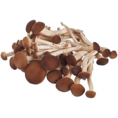 Изображение товара Опята культивируемые, 200г