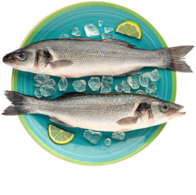 Изображение товара Сибас Турция 0.2-0.6 кг