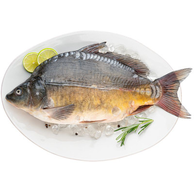 Изображение товара Карп непотрошеный