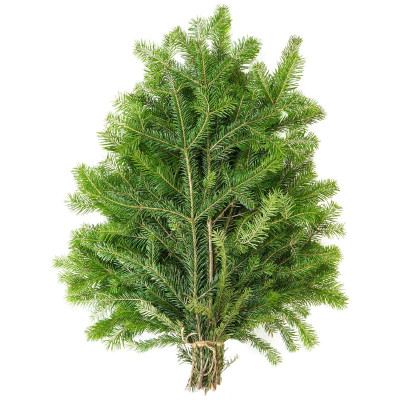 Изображение товара Букет из сибирской пихты, 1шт