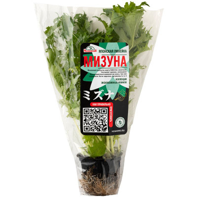 Мизуна Эксклюзив