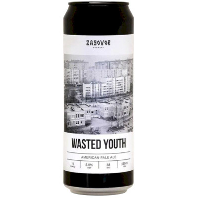 Изображение товара Пиво Zagovor Wasted Youth нефильтрованное неосветленное 5.5%, 450мл