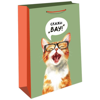 Изображение товара Пакет Арт и Дизайн подарочный в ассортименте, 260х320х120мм