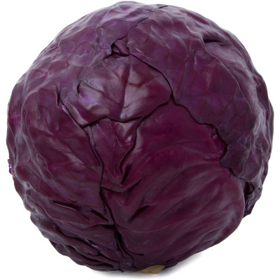 Изображение товара Капуста краснокочанная