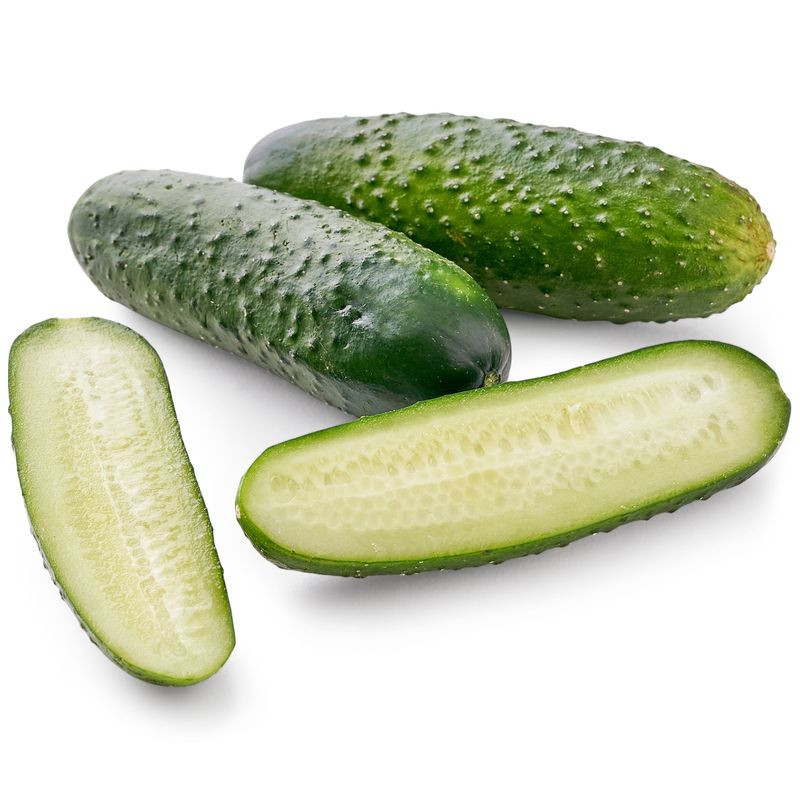 Изображение товара Короткоплодные огурцы свежие Россия Тендер 366 рублей