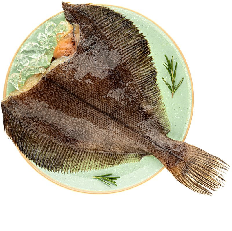 Изображение товара Камбала потрошеная без головы Мурманск свежая охлажденная рыба