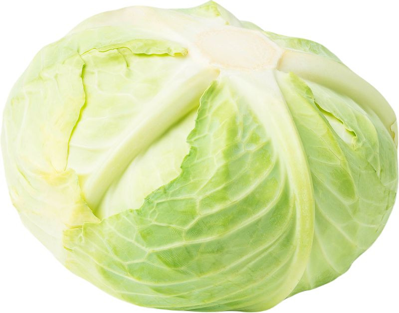 Изображение товара Капуста белокочанная ранняя свежая Россия 137.99 рублей весовая