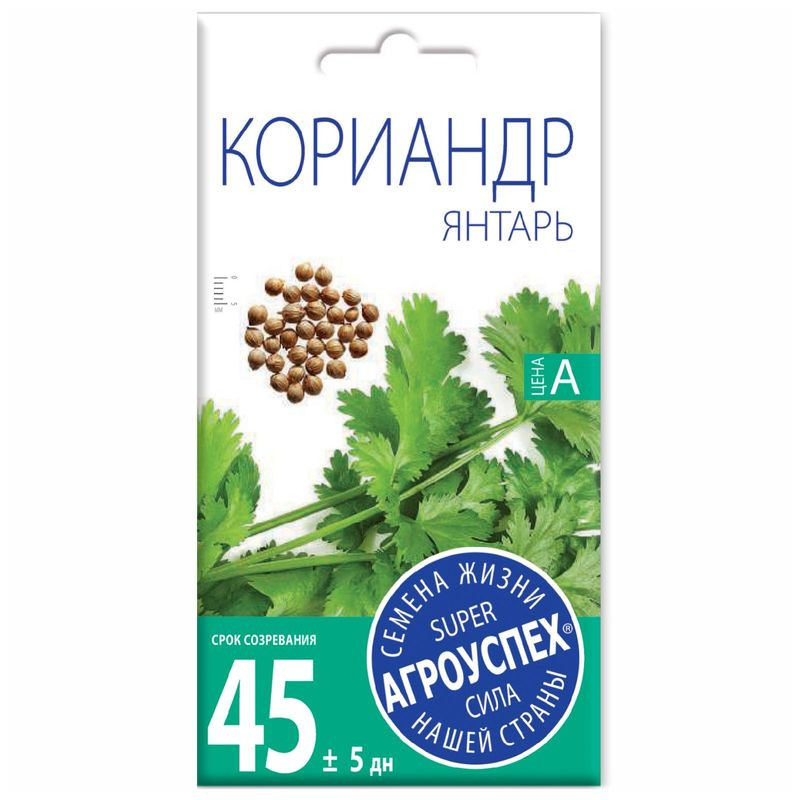 Изображение товара Семена Агроуспех Кориандр Янтарь, 5г