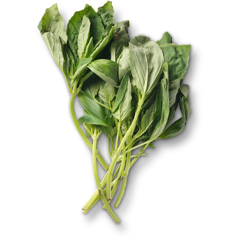 Изображение товара Базилик зелёный Маркет Fresh 30г свежая зелень кулинария