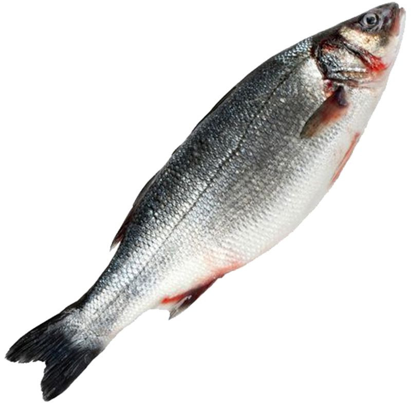 Изображение товара Сибас 400-600 непотрошеный замороженный Тендер Турция