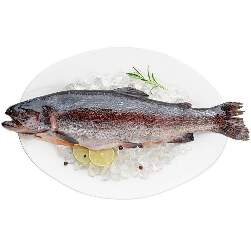Изображение товара Рыба форель радужная потрошёная с головой  Россия охлаждённая