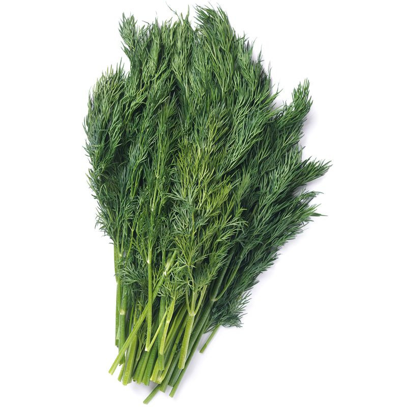 Изображение товара Свежий укроп зеленый Маркет Fresh 100г