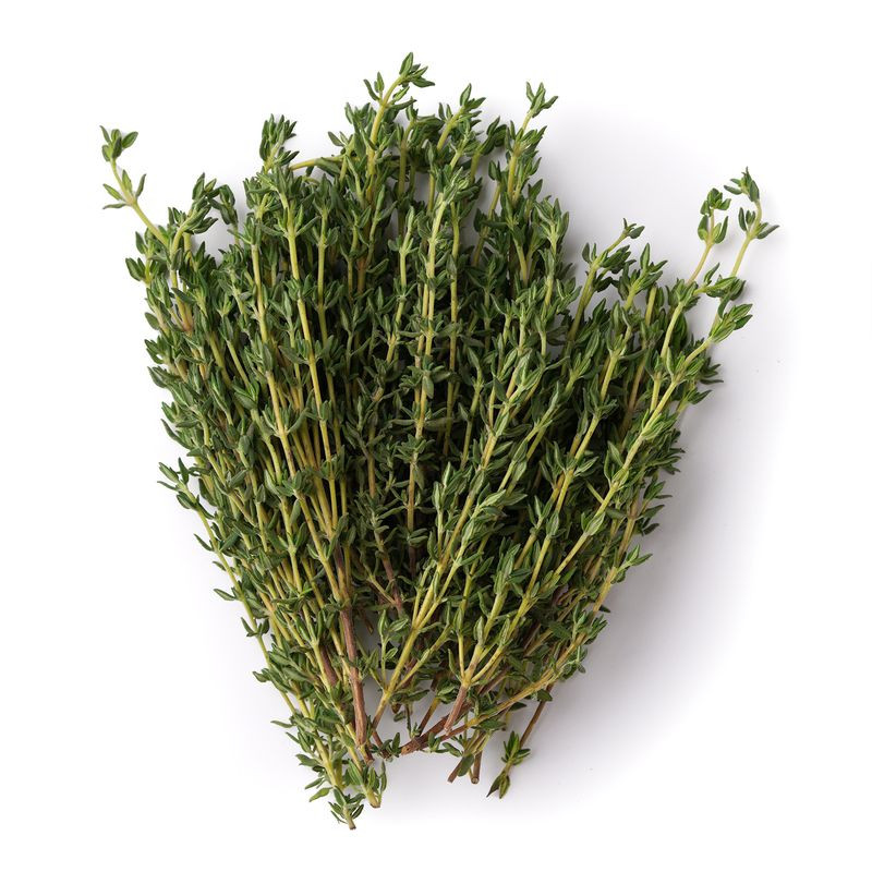 Изображение товара Тимьян Маркет Fresh свежие душистые травы 30г натуральный продукт