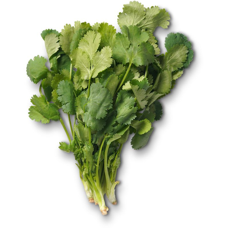 Изображение товара Зелень Кинза Маркет Fresh 30г свежая и ароматная натуральная зелень