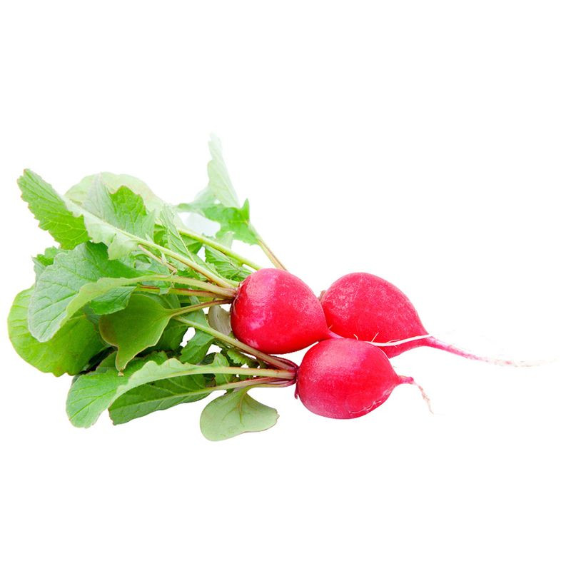 Изображение товара Редис с зеленью свежий фасованный  Россия
