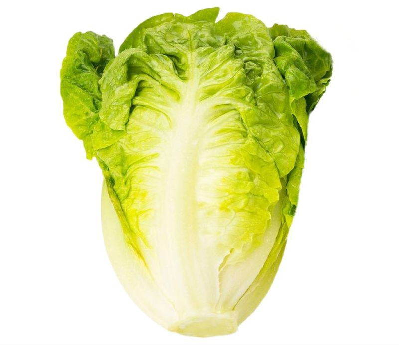 Изображение товара Свежий салат Романо в пакете от Маркет, 1 шт