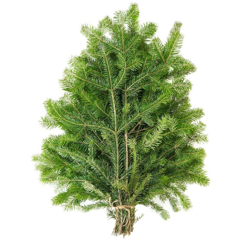 Изображение товара Букет из сибирской пихты 1 шт натуральный экологичный подарок