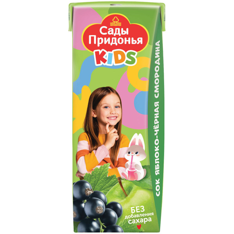 Изображение товара Сок Сады Придонья Kids из яблок и чёрной смородины с 5 месяцев, 200мл