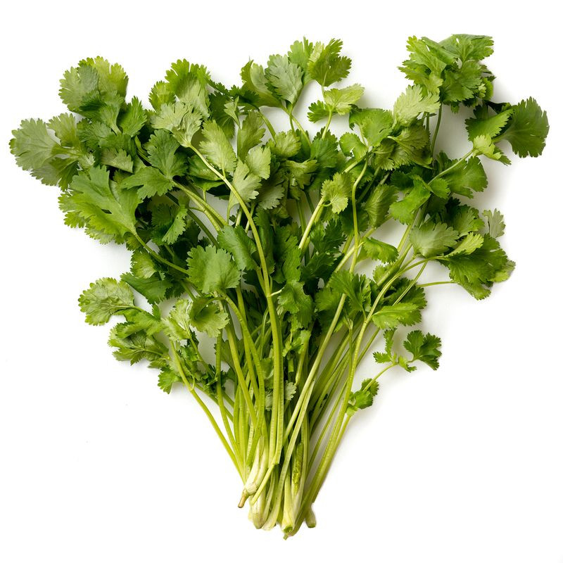 Изображение товара Зелень Маркет Fresh Кинза премиум 100 г свежая упаковка Россия