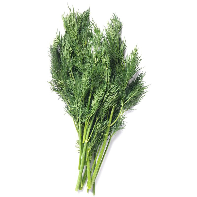 Изображение товара Укроп Маркет Fresh 50г свежая зелень для кухни