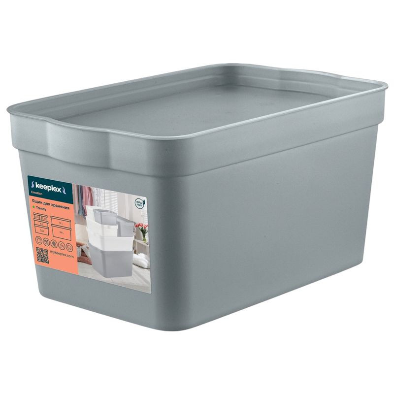 Изображение товара Ящик для хранения Keeplex Trendy 21.1х14.1х11 см 2.3л из полипропилена