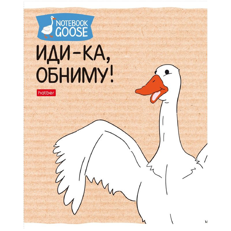 Изображение товара Тетрадь Hatber Гусь-веселюсь в клетку А5 48 листов - яркая учебная тетрадь для школы
