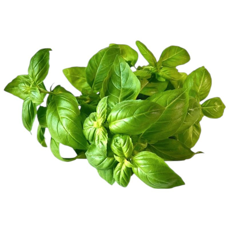 Изображение товара Базилик микс в горшочке 1шт - свежая пряность для кулинарии