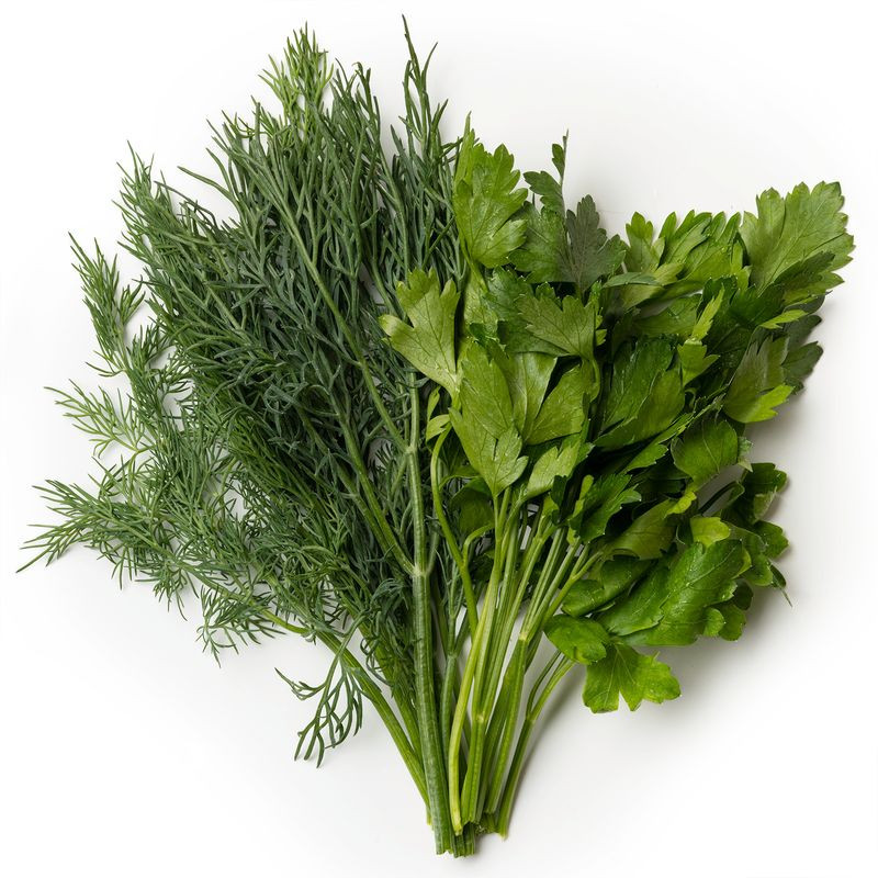 Изображение товара Свежая петрушка и укроп Маркет 30г - натуральная зелень для кухни