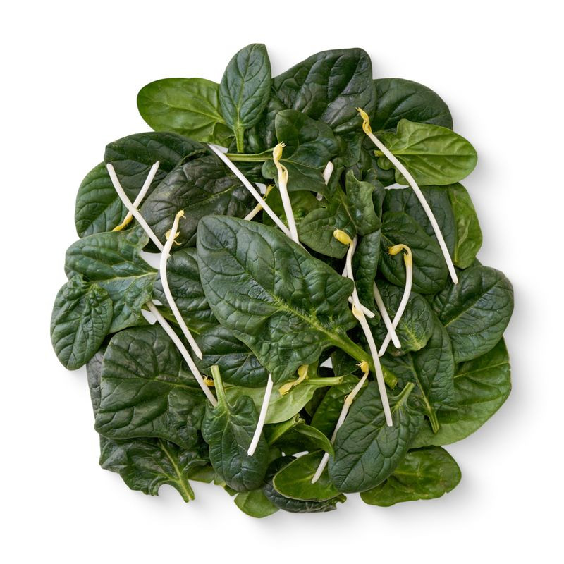 Изображение товара Смесь салатная Белая Дача шпинат и ростки золотого гороха 75г