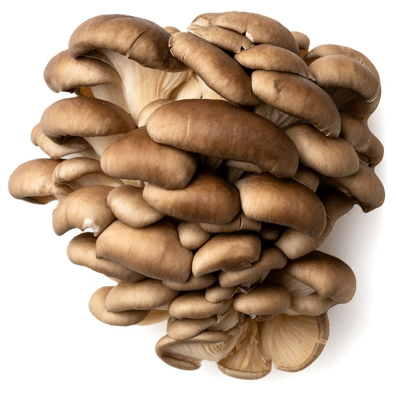 Изображение товара Вешенки культивируемые Маркет Fresh, 300г - свежие грибы